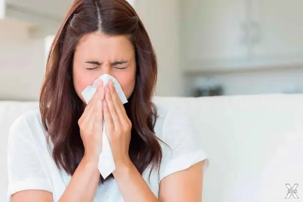 Вечные государства: какие древние страны сохранили свою независимость до сих пор