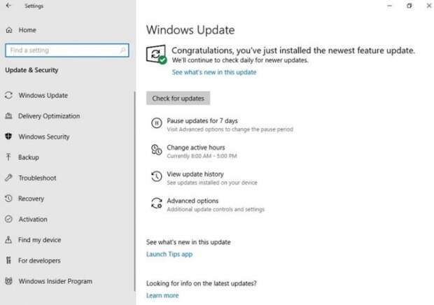 97675 В Windows 10 появилась долгожданная функция, о которой мечтали все пользователи