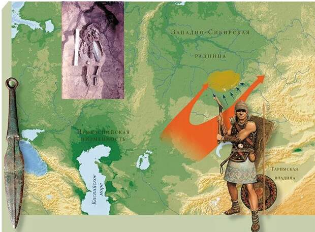 Предполагаемое направление миграции носителей андроновской (федоровской) культуры в Барабинскую лесостепь (первая половина II тыс. до н. э. 
