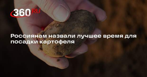 Курский ГАУ: посадите картофель до конца мая, чтобы не потерять 30% урожая