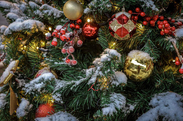 В Гидрометцентре Крыма рассказали, какой будет погода на Новый год