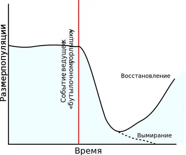 Абсолютный процесс