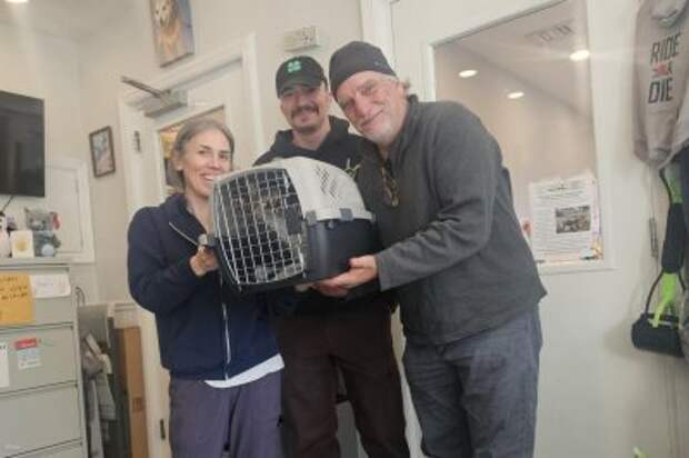 Watch: New Jersey family's lost cat found 10 years later