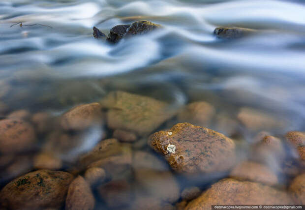 В предгорье Алтая В предгорье Алтая