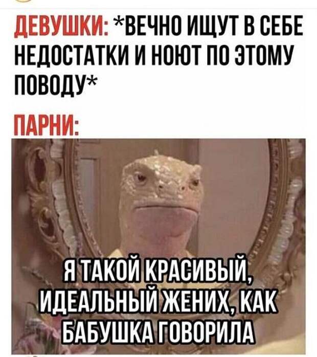 Смешные до слез классные картинки