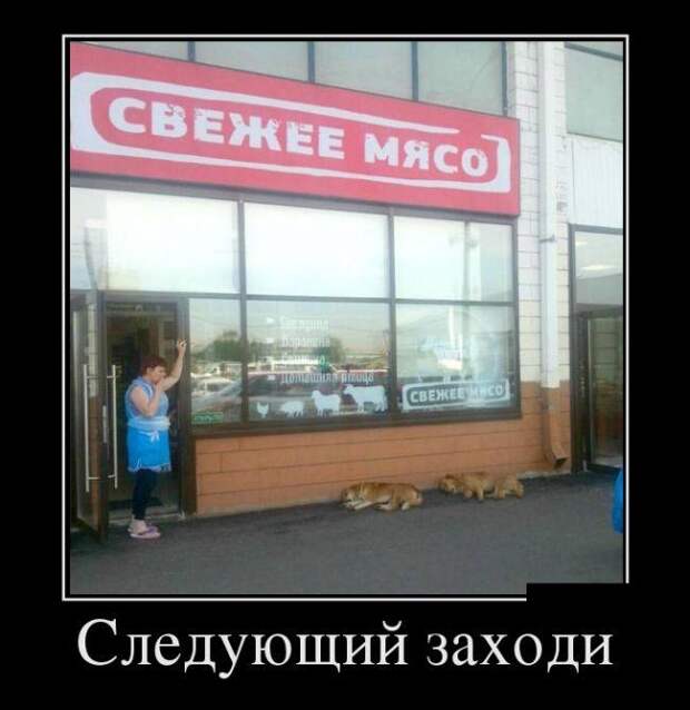 Веселые и забавные демотиваторы со смыслом (11 фото) Веселые и забавные демотиваторы со смыслом (11 фото)