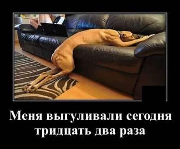 Прикольные демотиваторы с надписями. Подборка chert-poberi-dem-chert-poberi-dem-21080416012021-11 картинка chert-poberi-dem-21080416012021-11