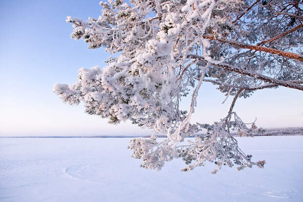 Озеро Куйта зима, красота России