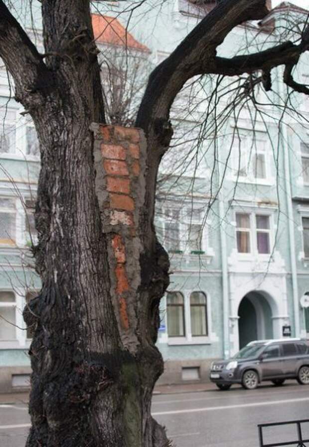 россия, изобретения, фото