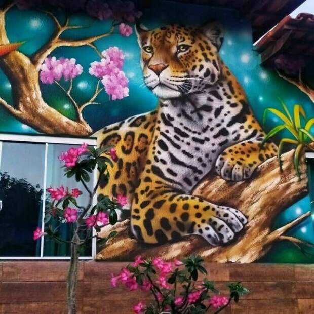 Бразильский уличный художник Фабио Гомеш Триндади