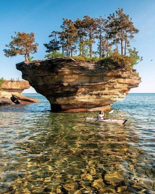 Позитивные картинки и веселые фотографии для настроения (11 фото)