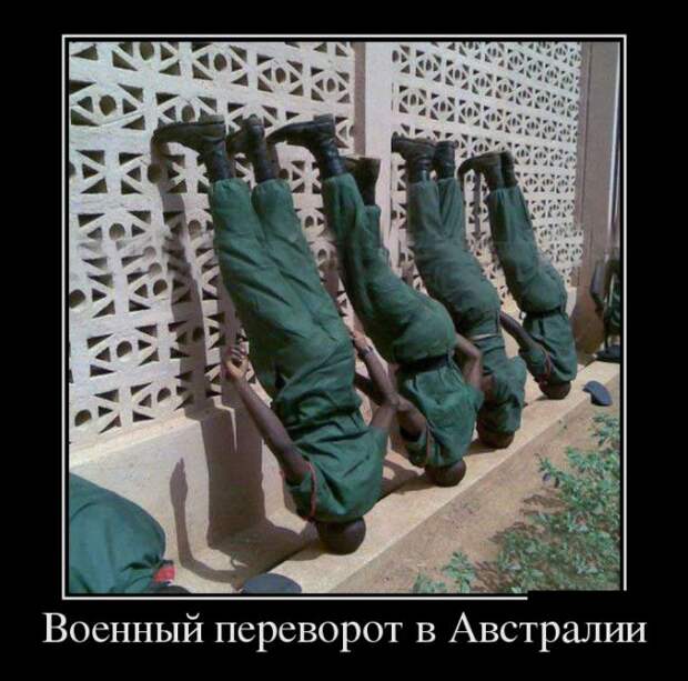 Демотиваторы (30 фото)