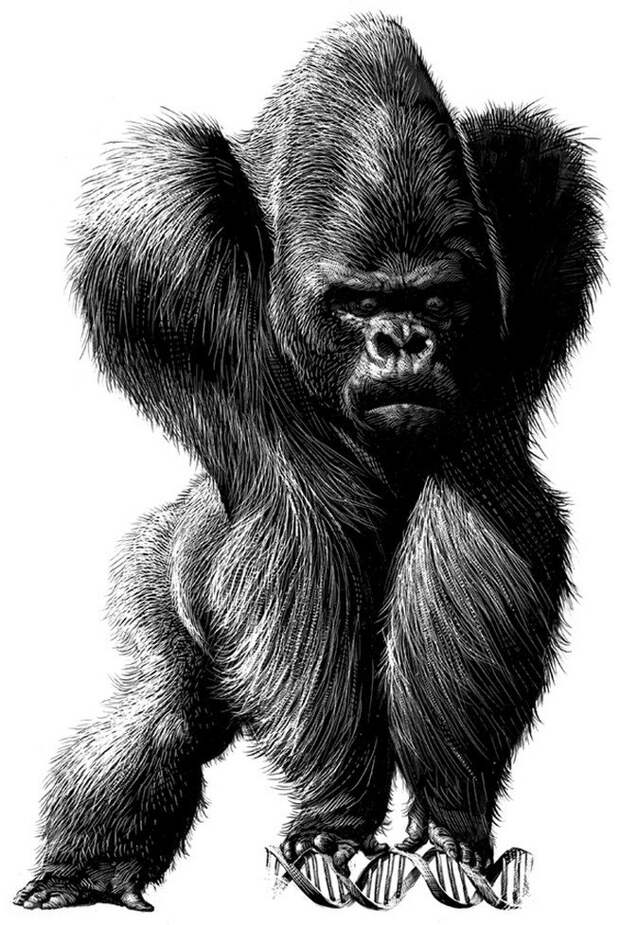 Художник Ricardo Martinez