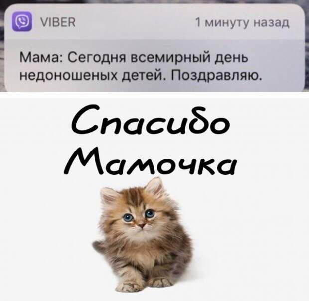 Нестандартный юмор :)