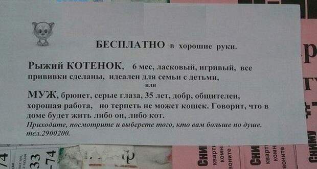 Давайте улыбаться вместе!