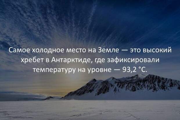Интересные факты для любознательных