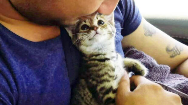 источник фото: postila.ru