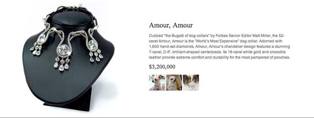 dog collar