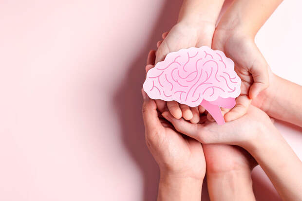 Эндокринолог Чуракина: четыре продукта улучшают работу мозга