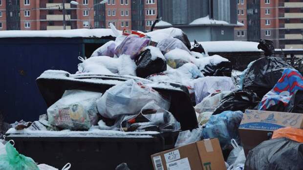 «Сколько можно терпеть»: петербуржцы оставили более пяти тысяч жалоб о невывозе мусора