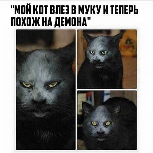 uoJEa0eVIZ0