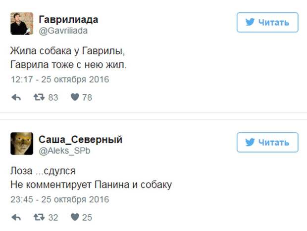 Панин