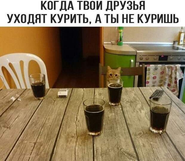 Прикольные картинки. Вечерний выпуск (53 фото)