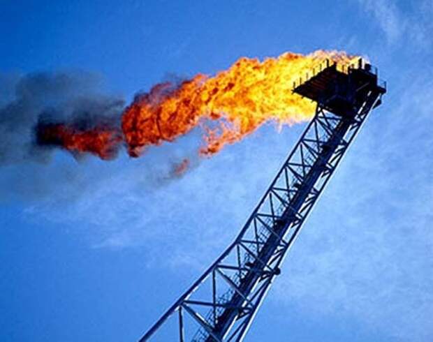 Египетскую нефть будет добывать Украина " Корреспондент Донбасса