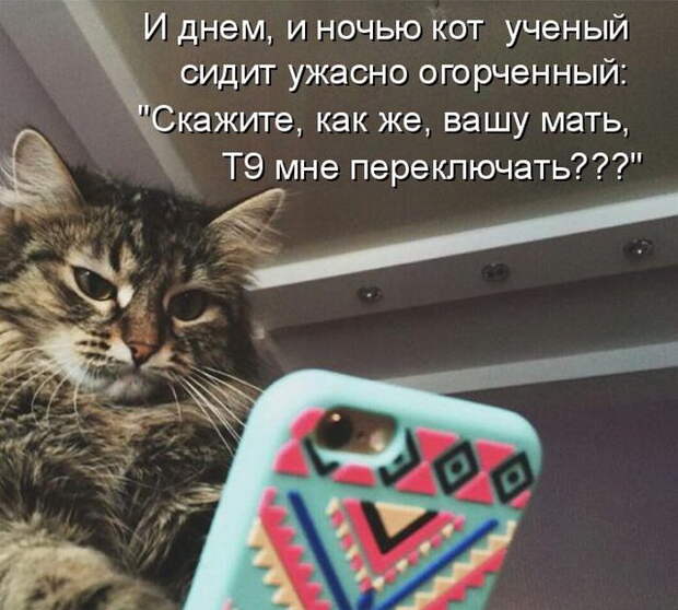 Лучшие котоматрицы недели Лучшие котоматрицы недели