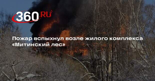 Пожар вспыхнул возле жилого комплекса «Митинский лес»