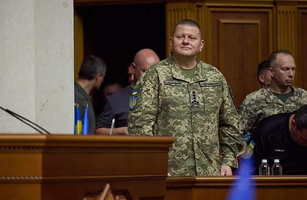 Экс-главком ВСУ Залужный не смог выговорить слово «цивилизованный»