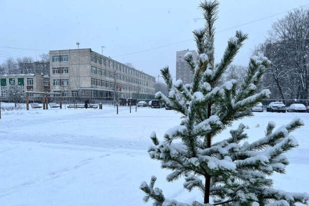 Синоптики: в Центральной России потеплеет