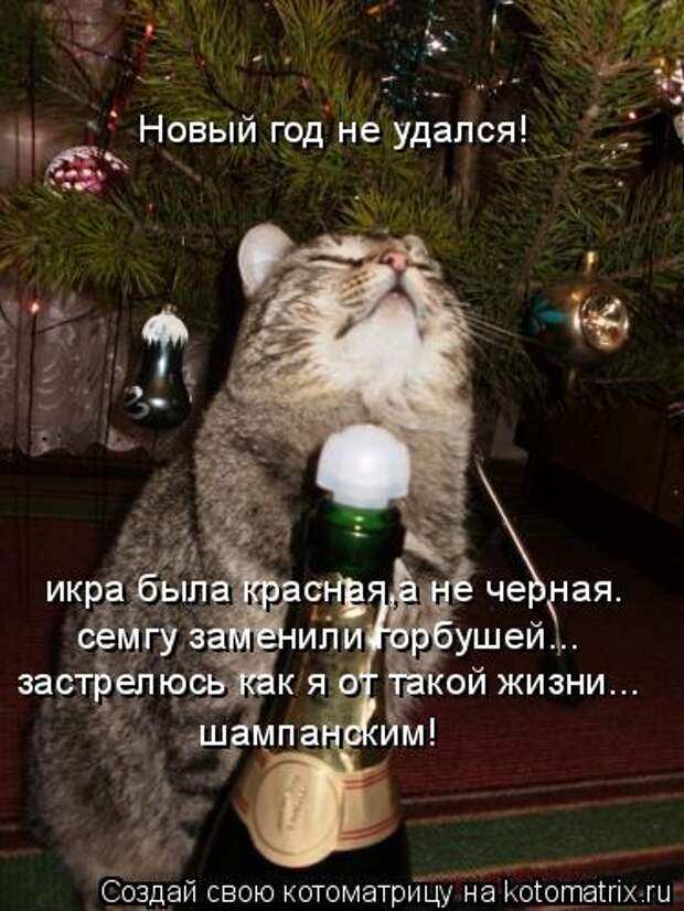Похожее изображение
