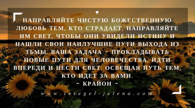 Направляйте чистую Божественную любовь тем, кто страдает, направляйте им свет, чтобы они увидели истину и нашли свои наилучшие пути выхода из тьмы. Ваша задача – прокладывать новые пути для человечества, идти впереди и нести свет, освещая путь тем, кто идет за вами.