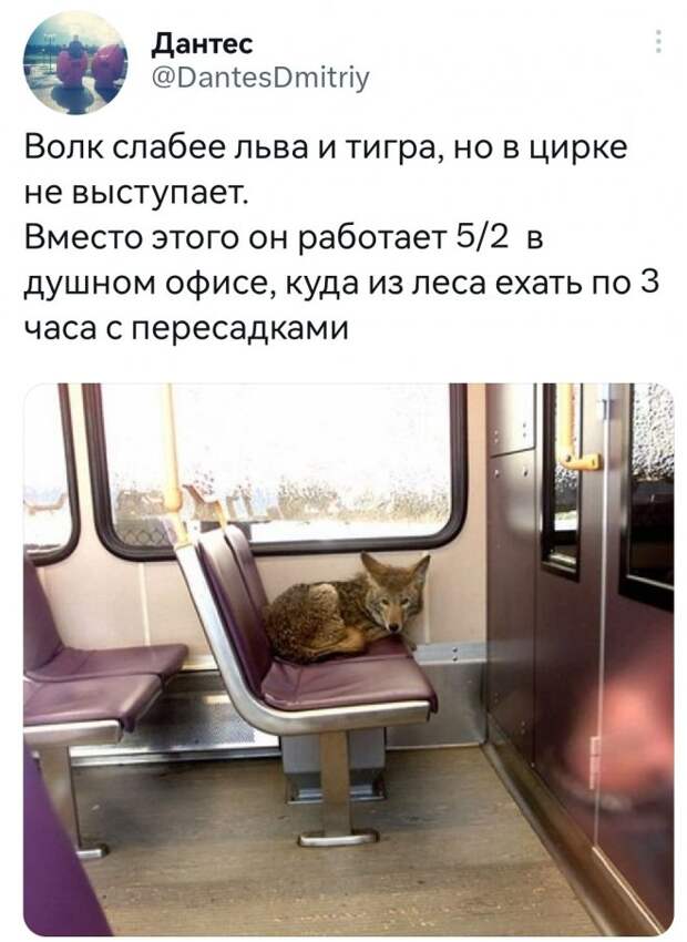 смешные картинки с надписями