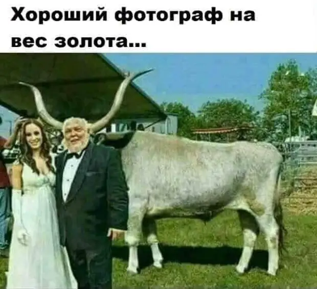 - Я, между прочим, мать семерых детей, и мой муж говорит... - Ах, вы ещё и поговорить успеваете? духами, монетку, пахнет, предупреди, пишет, женскими, будем, делать, блондинка, захочу, отомстила, отпуске, сосок, Мужчина, совсем, обидел, сошли, лайкнулКлассно, стираю, убираюсь