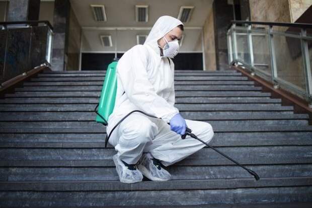 Тараканы в детской больнице на Кубани: замкнутый круг или почему от насекомых нельзя избавиться?