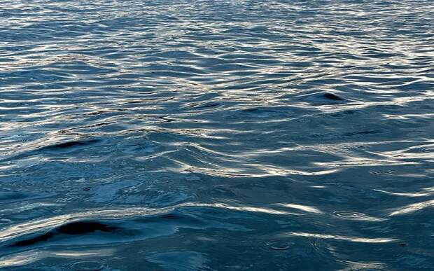 Рекорд сезона паводка: Ока у Рязани поднялась на 37 см к утру 26 марта