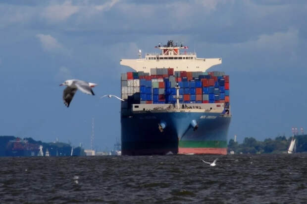 В порту Владивостока арестовали иностранное судно