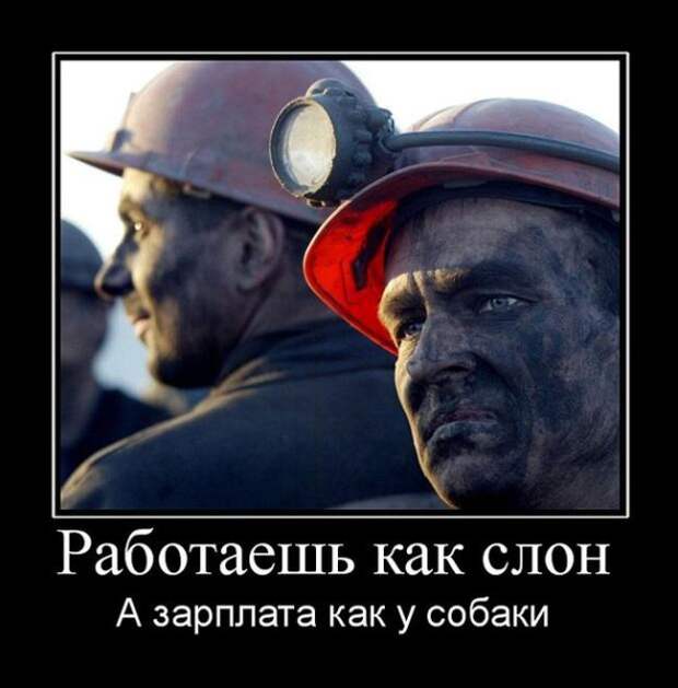 Демотиваторы (30 фото)