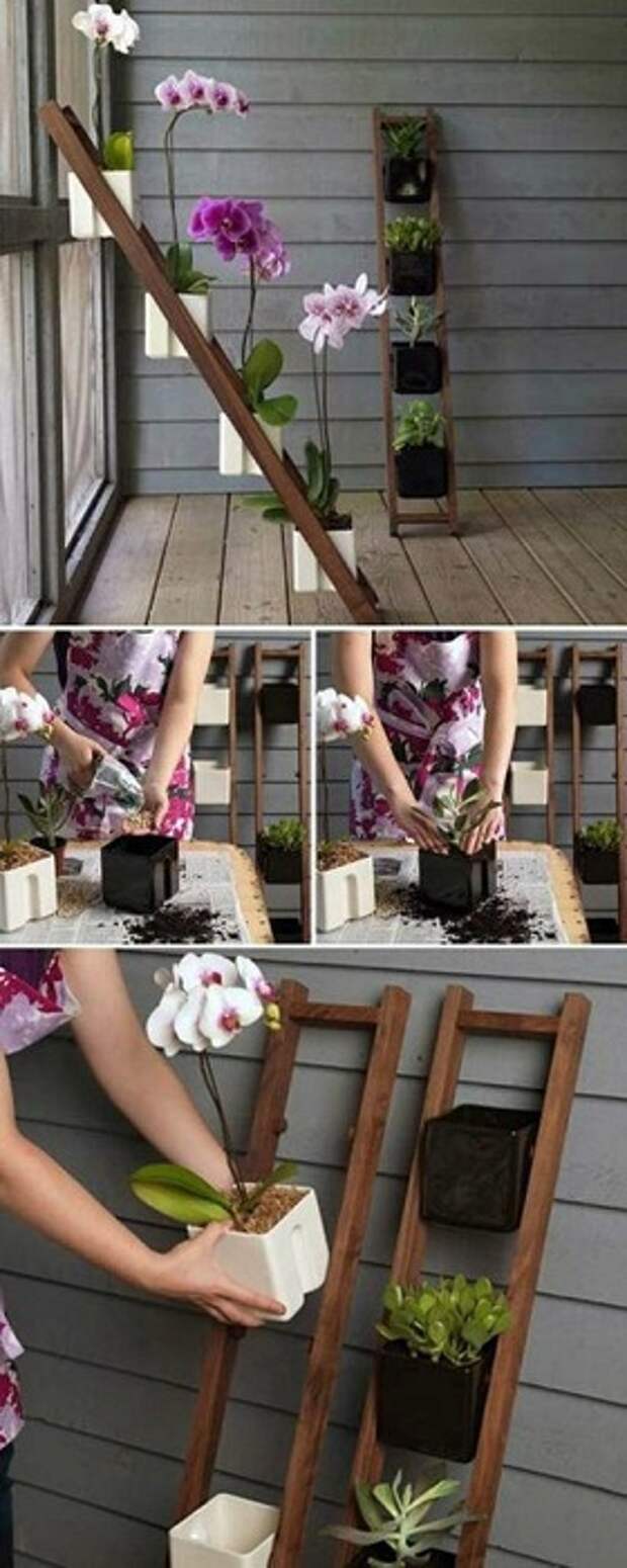 Пример того как возможно создать мини-сад своими руками в домашних условиях, без особого труда.