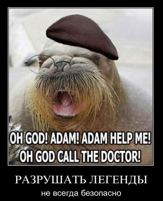 Демотиваторы