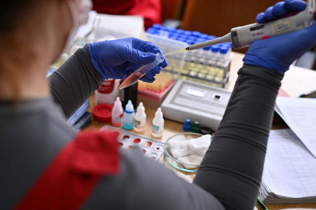 В Чите и Сочи цены на анализы оказались выше, чем в Москве