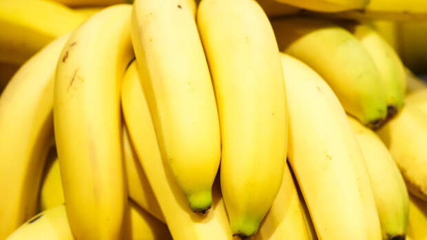 Невеста Кулебы открыла секс-шоп в апарт-отеле Кракова