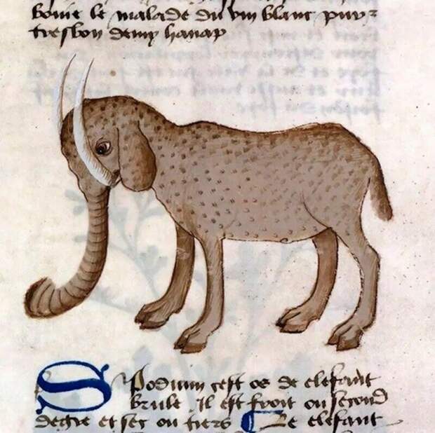 Как в Средневековье художники изображали слонов