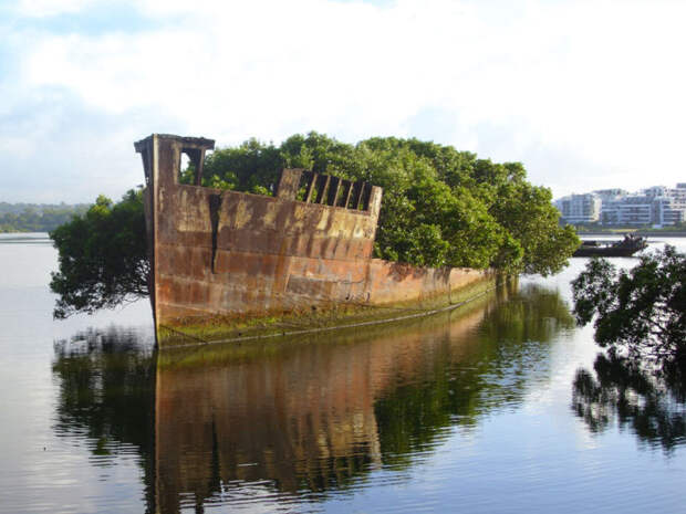 Заброшенный 102-летний корабль в Сиднее, Австралия.