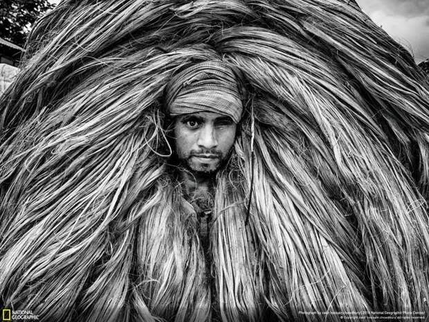 Рабочий на джутовой плантации, Закир Хуссейн Чудхари national geographic, конкурс, красота, природа, удивительно, фото, фотография, фотоподборка
