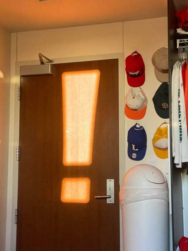 Неожиданные сходства и случайные совпадения на снимках