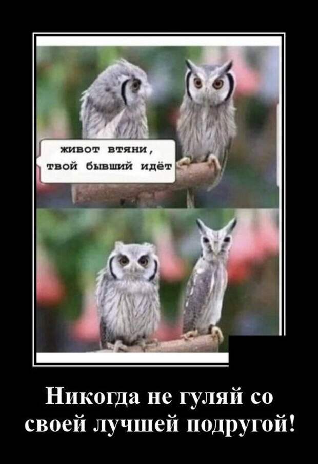 Демотиватор про подруг