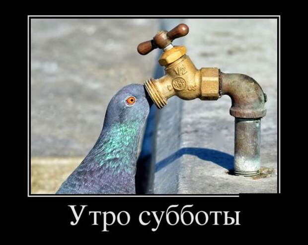 Демотиваторы (30 фото)